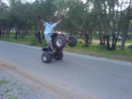 hamza le pro